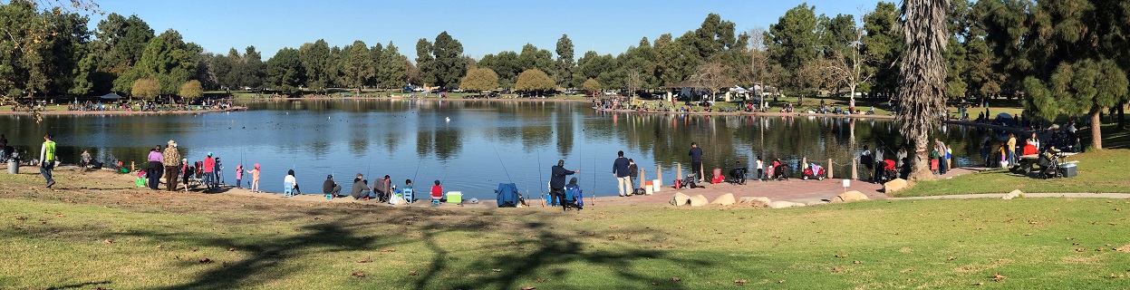 people fishing at lake